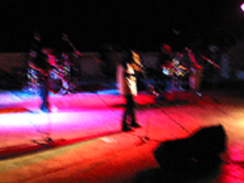 bisceglie 2001