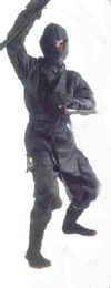 ninja.jpg (13351 byte)