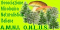 MICOWEB