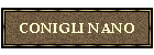 CONIGLI NANO