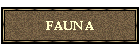 FAUNA