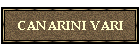 CANARINI VARI