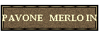 PAVONE   MERLO IN