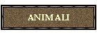 ANIMALI