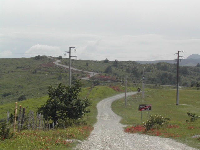Dscn3965.jpg