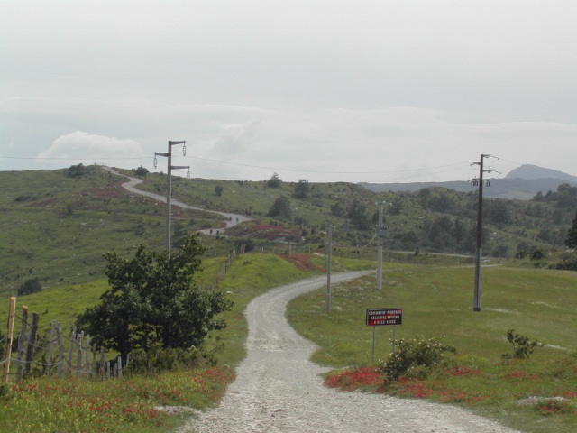 Dscn3966.jpg