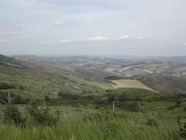 Dscn3972.jpg