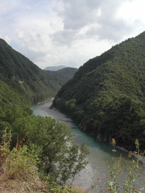 Dscn4439.jpg
