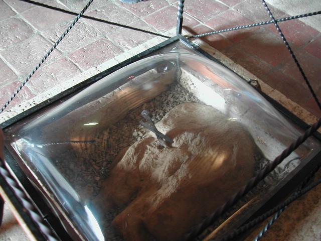 DSCN5075.JPG