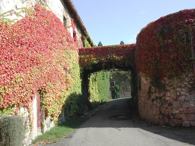 DSCN5450.JPG