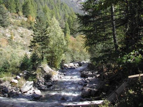 DSCN5520.JPG