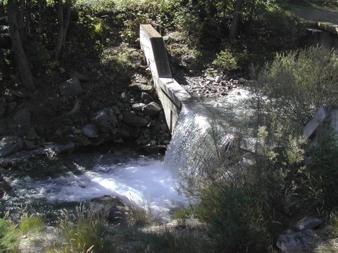 DSCN5524.JPG