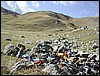 DSCN5554.JPG
