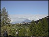 DSCN5594.JPG