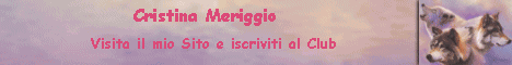 Vai al sito di Cristina Meriggio
