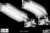 myartgio-giomyart.jpg (53241 byte)