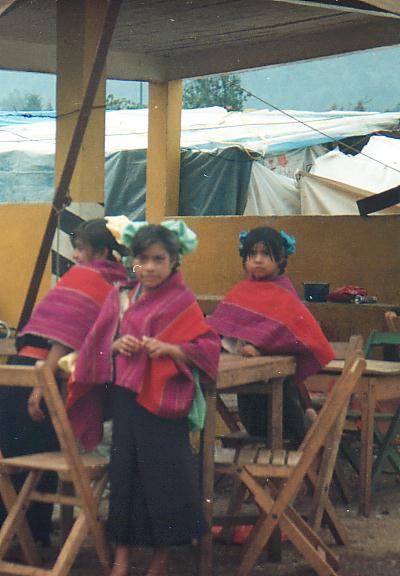 bimbe zinacantan