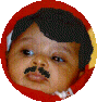 HomJo.jpg (13627 byte)