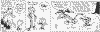 c_play1.gif (15127 byte)