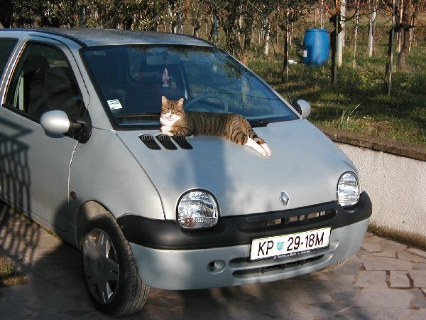 21.JPG