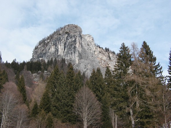 p1010006.JPG