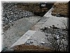 p1010021.JPG