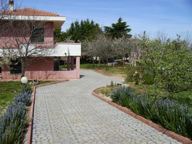 casa4.JPG
