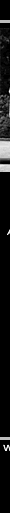 lustforlife