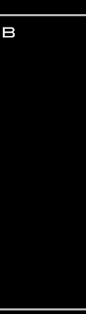 lustforlife
