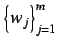 $\left\{w_j \right\}_{j=1}^{m}$