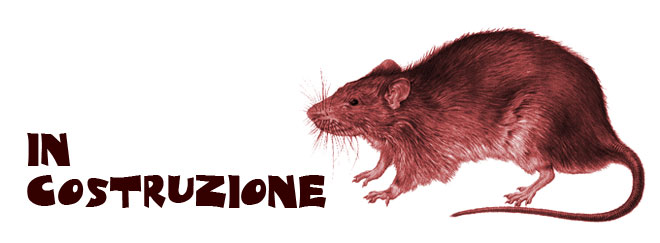 Rattoweb in costruzione