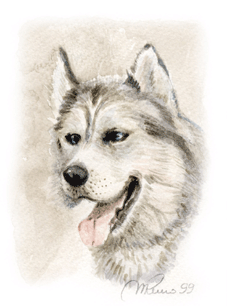 99--cane-aski.gif (53753 byte)