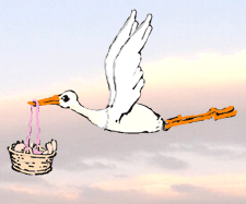 cicognaweb.gif (167164 byte)