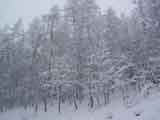Paesaggio sotto la neve