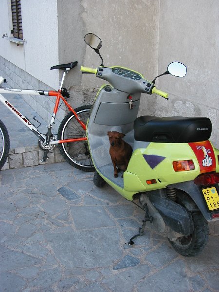 9.JPG