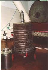 olio extravergine di oliva