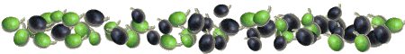 olive in salamoia