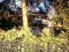 bandiere58.jpg (592007 byte)