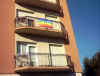 bandiere61.jpg (270580 byte)
