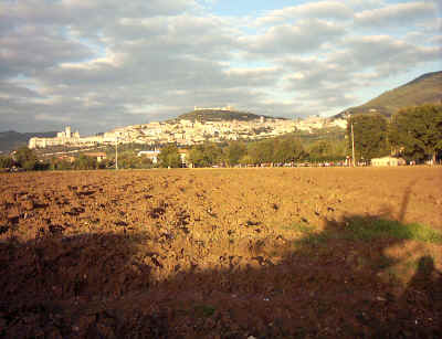 12102003 (21).JPG (287989 byte)
