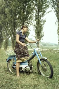 Barbara