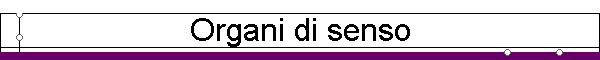 Organi di senso