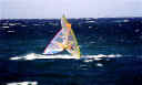 faws8.jpg (24837 byte)