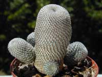 minGymno-miha-fri_23092000.2.jpg (10850 byte)