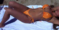 close up0.JPG (41207 byte)