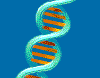 Sezione: Scienza - La doppia elica del DNA