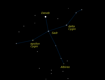 Cigno