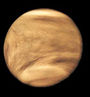 Venere