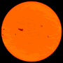 Sole