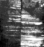 patch striation matching